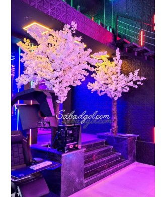 درخت شکوفه برای بزرگترین باشگاه گیمینگ ایران